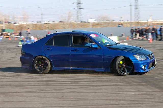 无论是灰熊 无论是灰熊