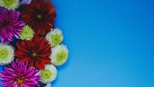 抓住机会 抓住机会