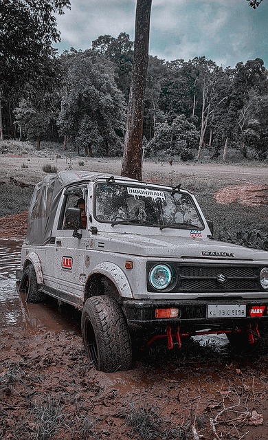 在比赛中展 在比赛中展