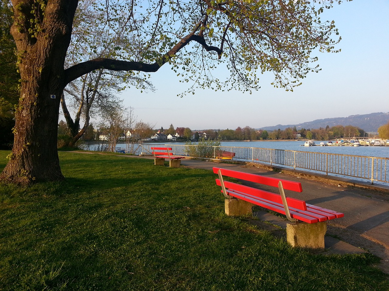 拜仁慕尼黑 拜仁慕尼黑