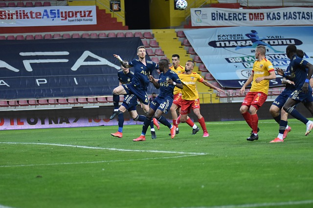 为了此次展 为了此次展