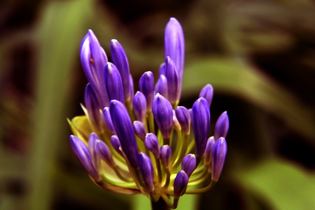 研究显示 研究显示