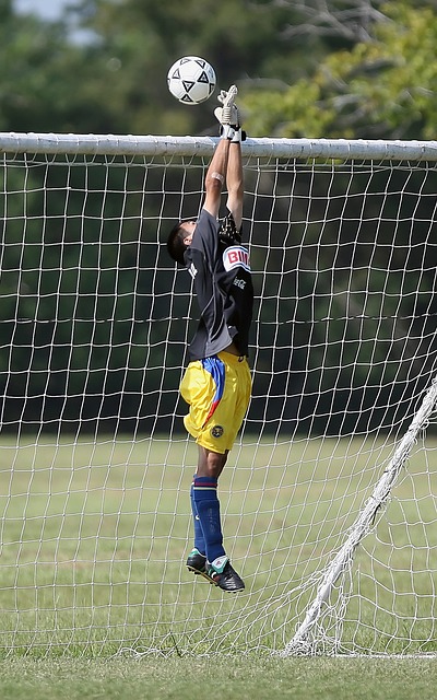 但他的近年 但他的近年